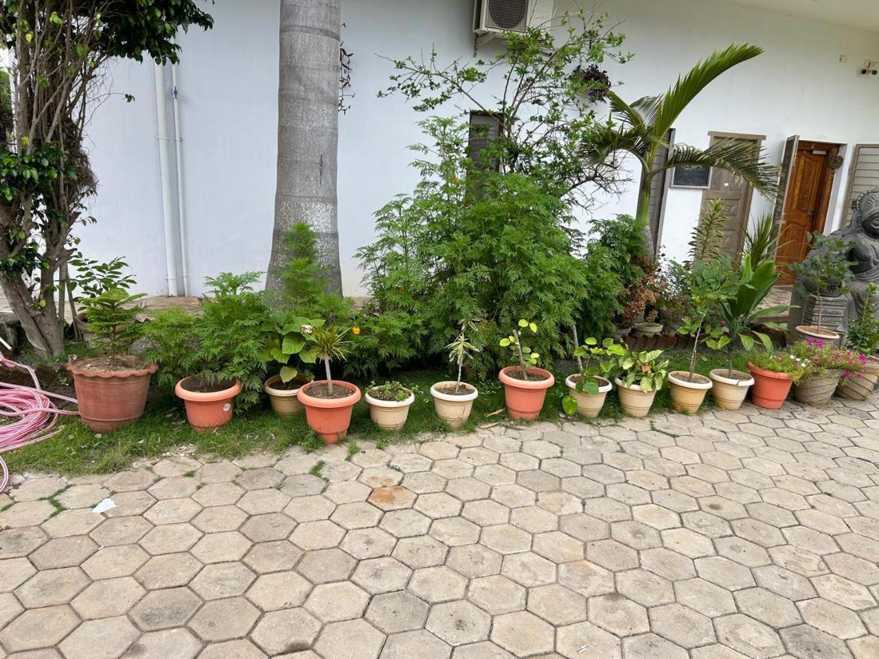 Blissful Haven Art House - Near Entrance To Auroville Exteriör bild